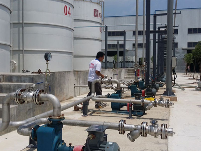 上海某某科技有限公司